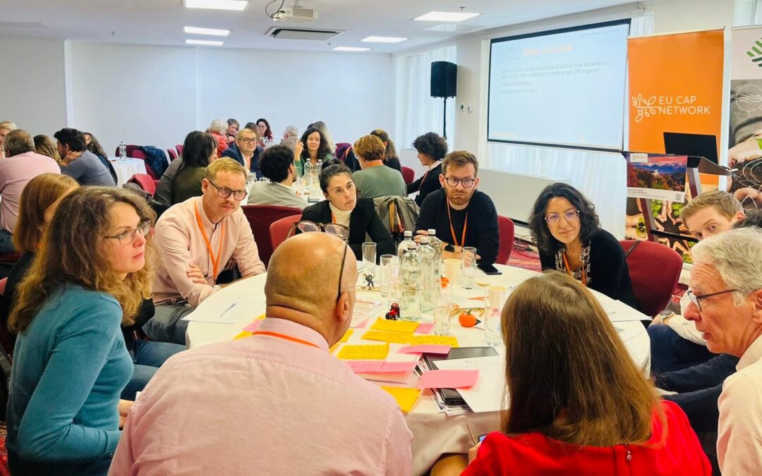 Atelier de bune practici privind evaluarea impactului real al Politicii Agricole Comune